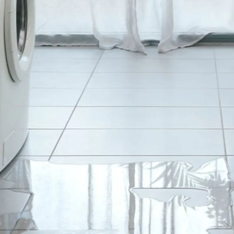 Appliance Leak Cleanup in Amelia County, VA