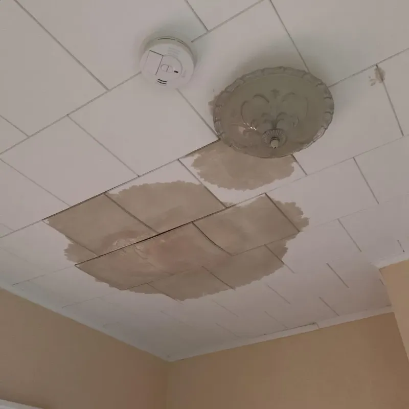 Ceiling Water Damage Repair in Amelia County, VA