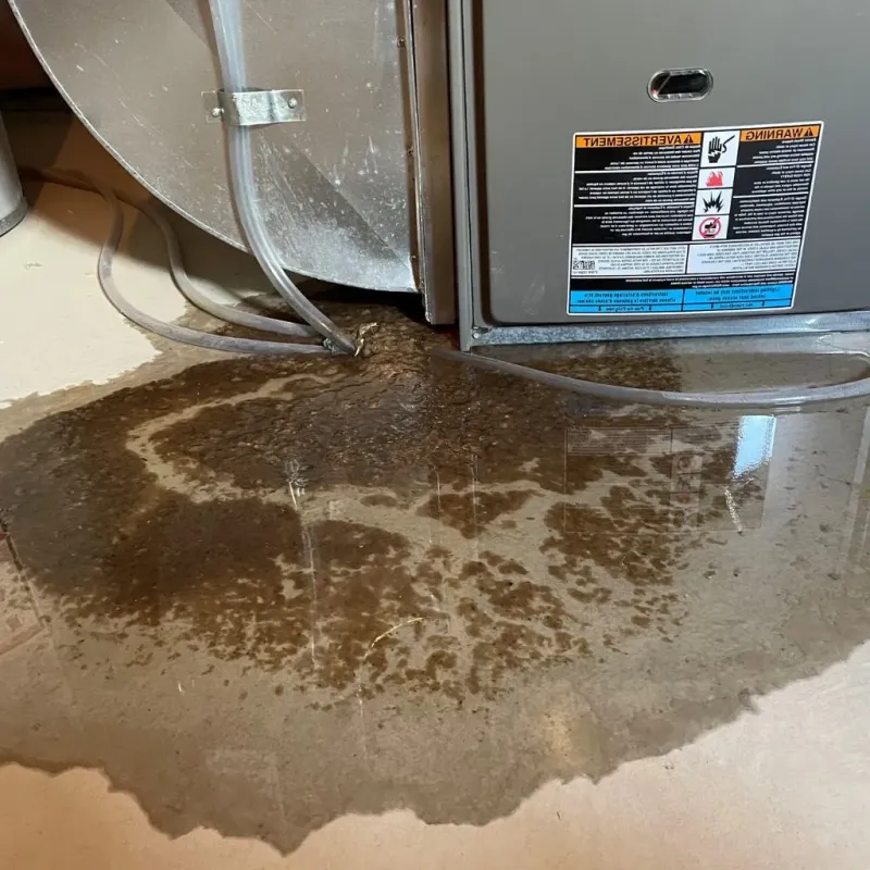 Pipe Burst and Leak Restoration in Amelia County, VA
